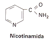 nicotinamida.gif (2014 bytes)