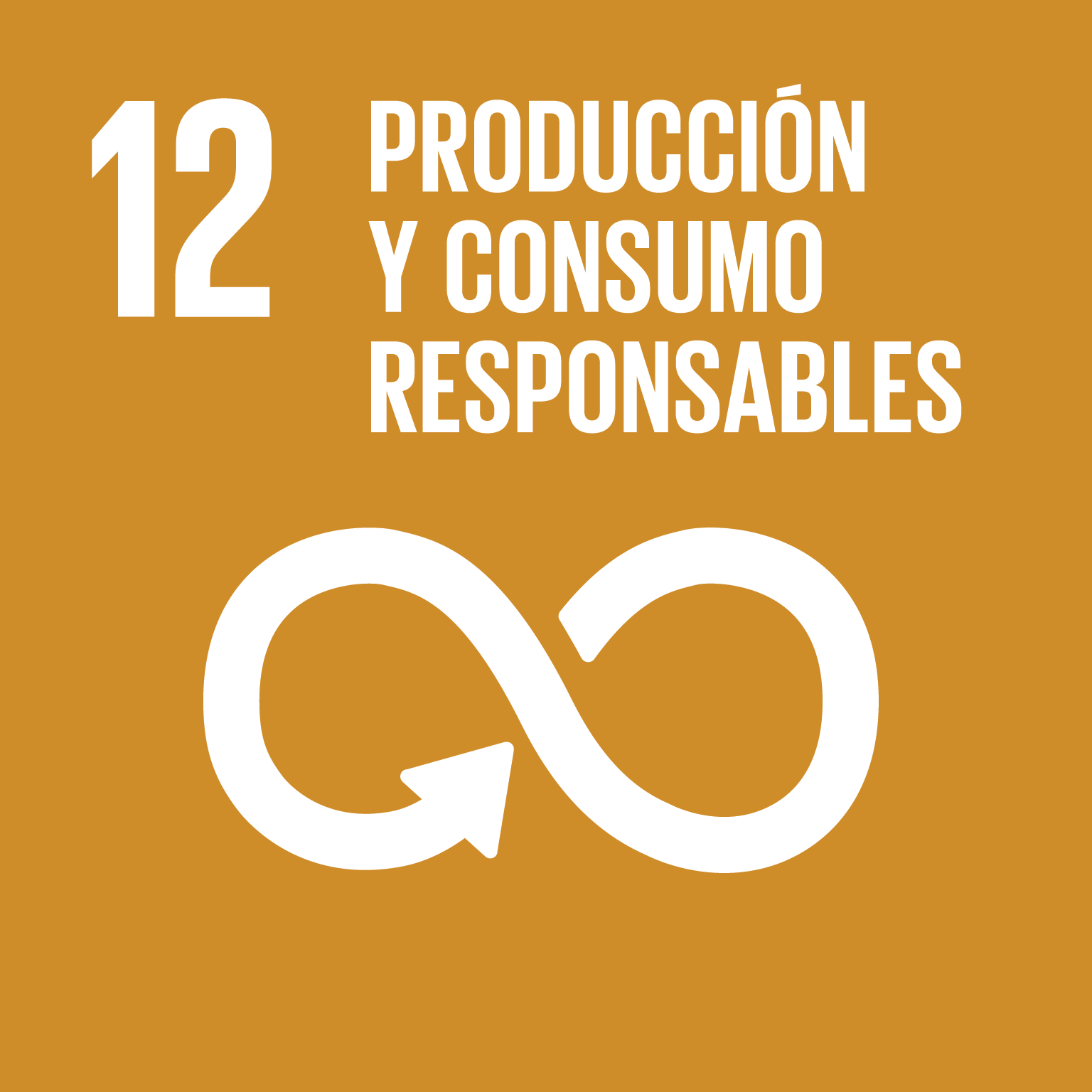ODS 12. Producción y Consumo Responsables