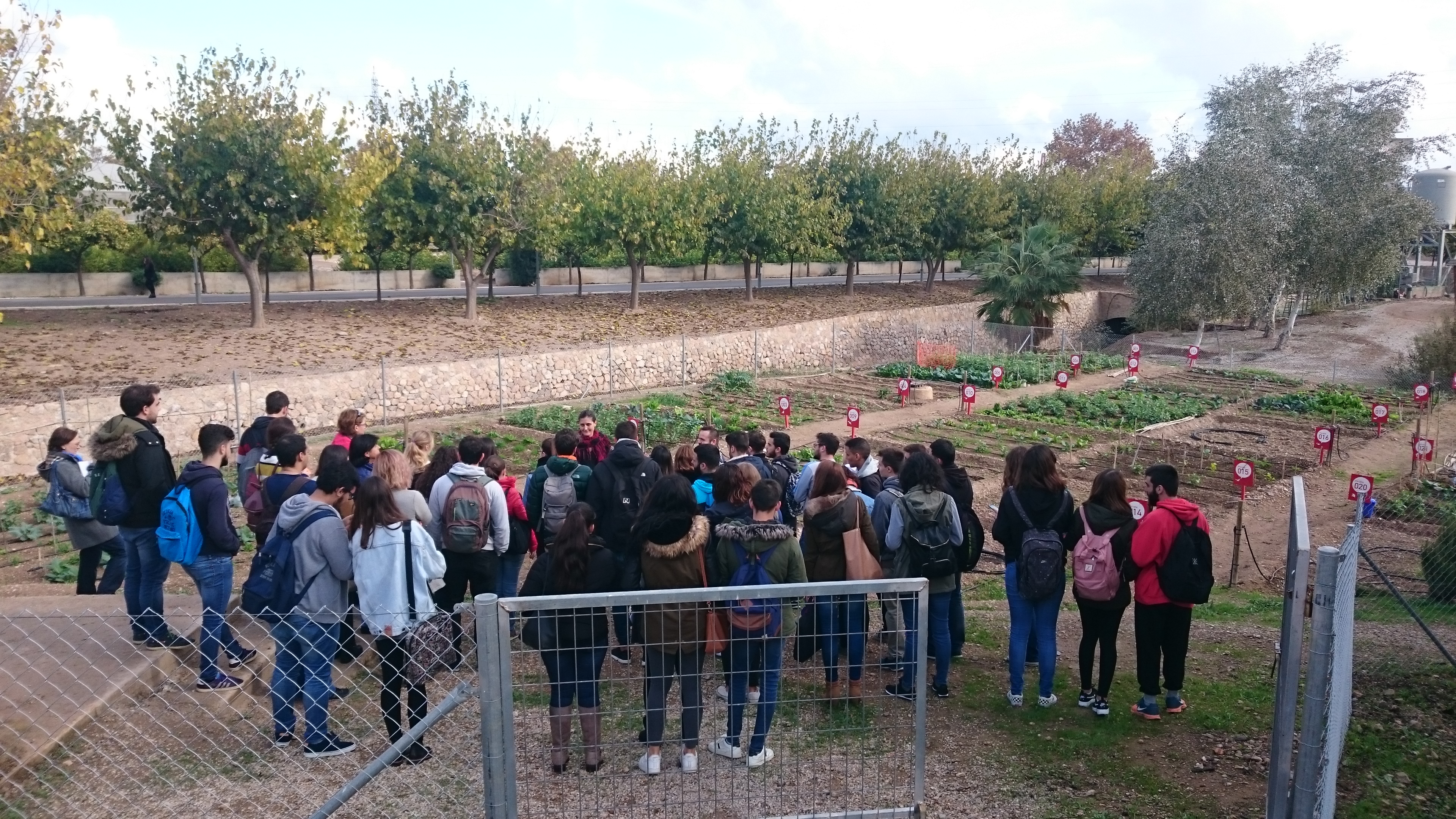 Estudiantes de la Universidad de Murcia en los huertos ecológicos de Campus Sostenible.