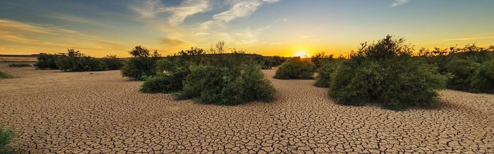 La Región de Murcia  es una de las zonas con más riesgo de desertificación de Europa
