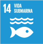 14. Vida Submarina