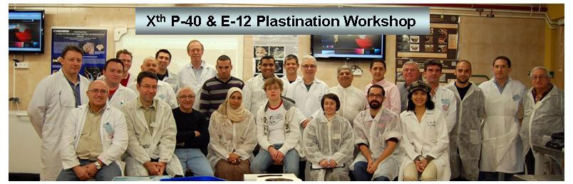 Foto de grupo X Curso de Plastinación: Técnicas P-40 y E-12