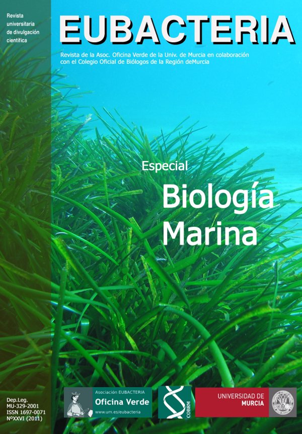 Posidonia, Eubacteria,
                                      biologia, marina