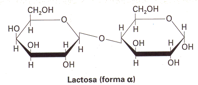 lactosa.gif (10481 bytes)