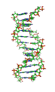 Simulación de ADN