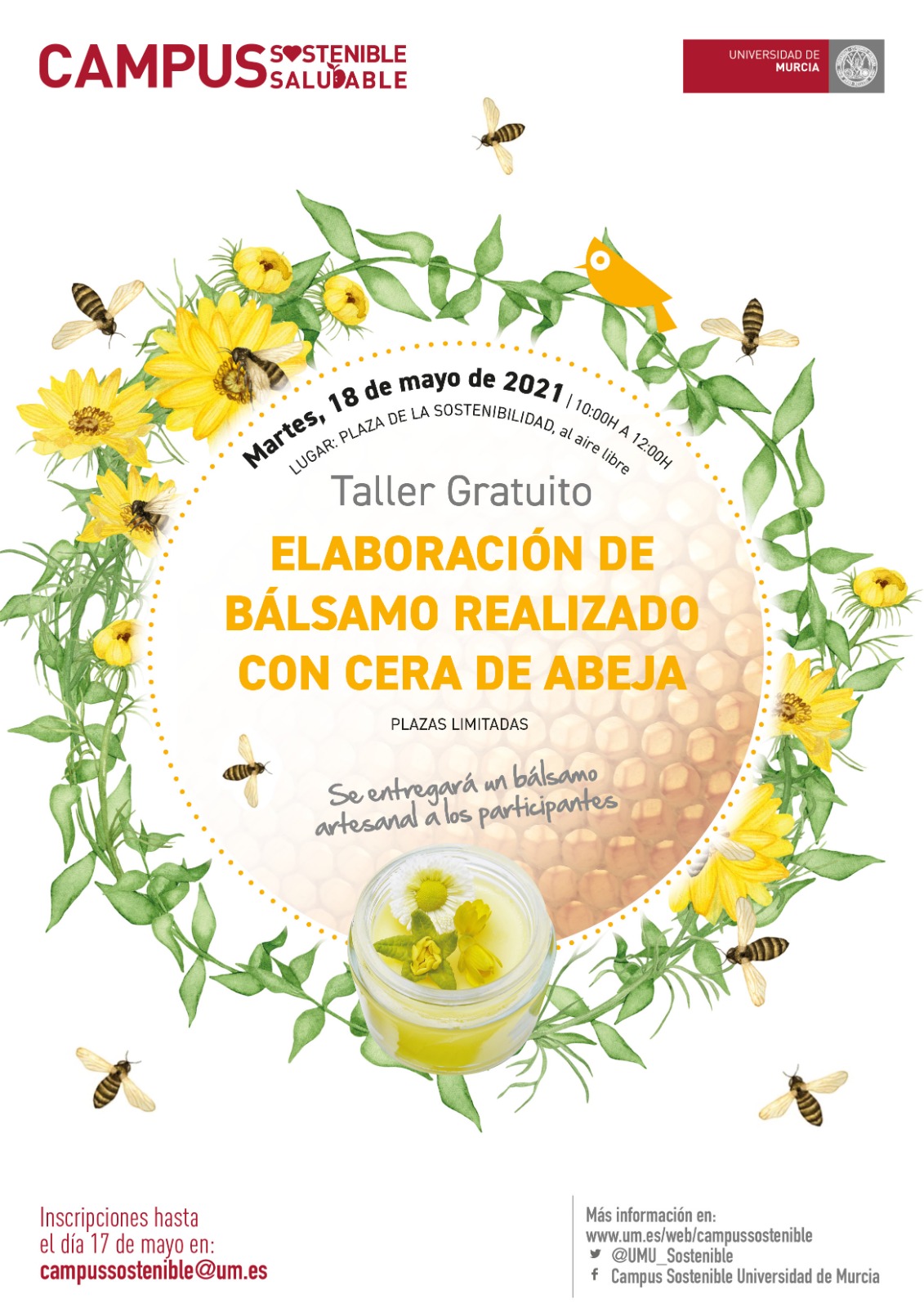 Taller elaboración de un bálsamo con cera de abeja. Campus Sostenible. Universidad de Murcia. 