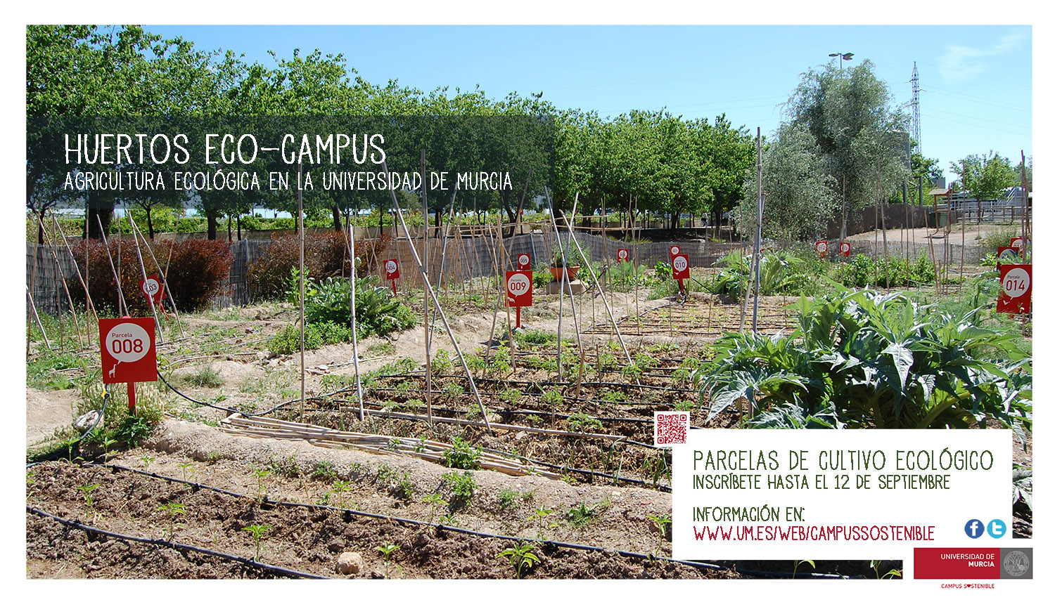 Imagen cartel horizontal huertos eco-campus 