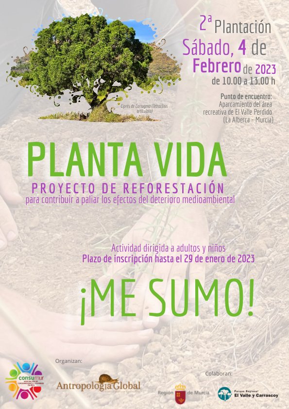 Plantación proyecto reforestación. Consumur y Antropología Global.