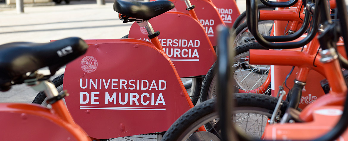 Estaciones de bicicletas en la Universidad de Murcia 