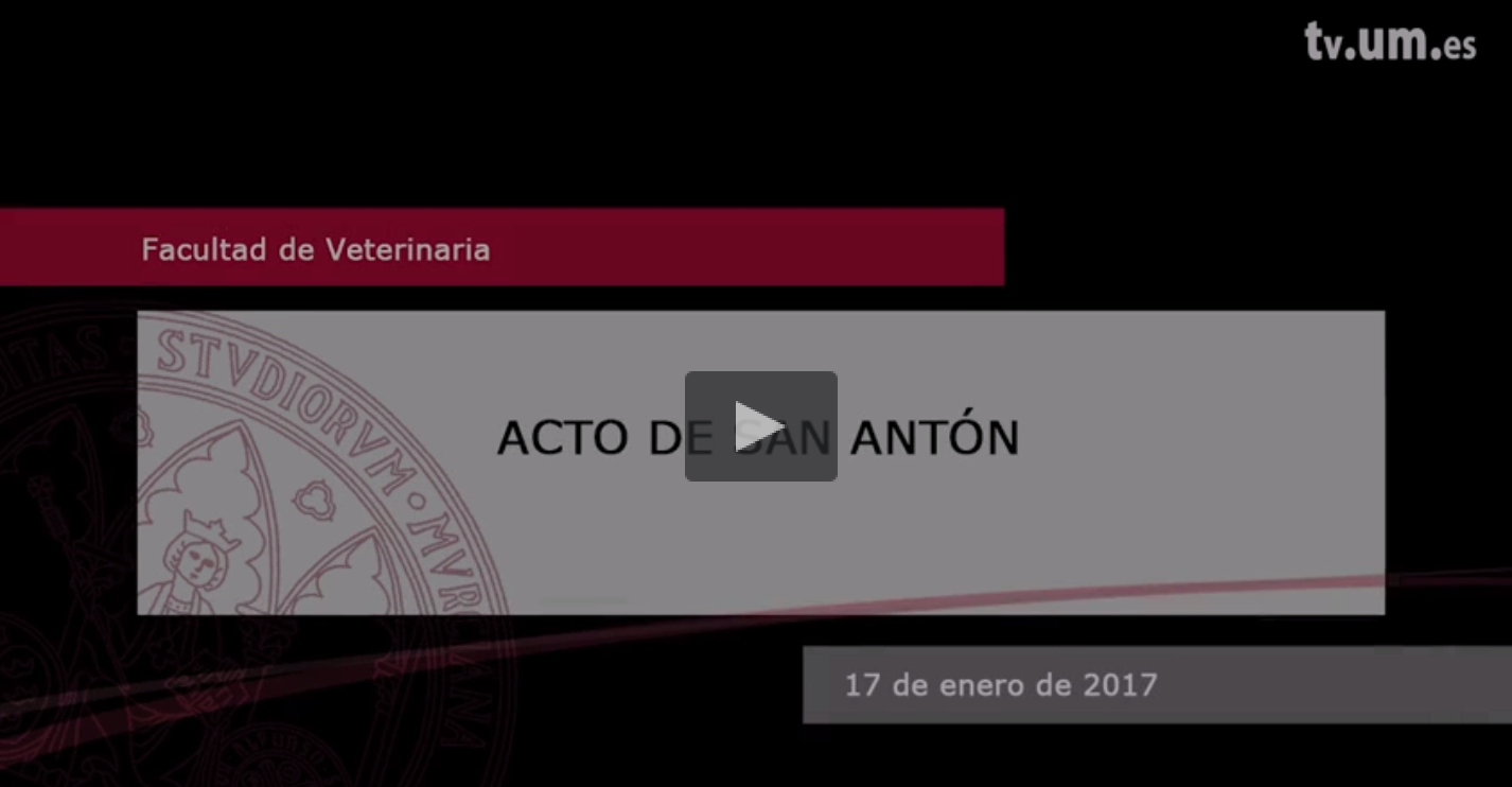 Vídeo San Antón 2017