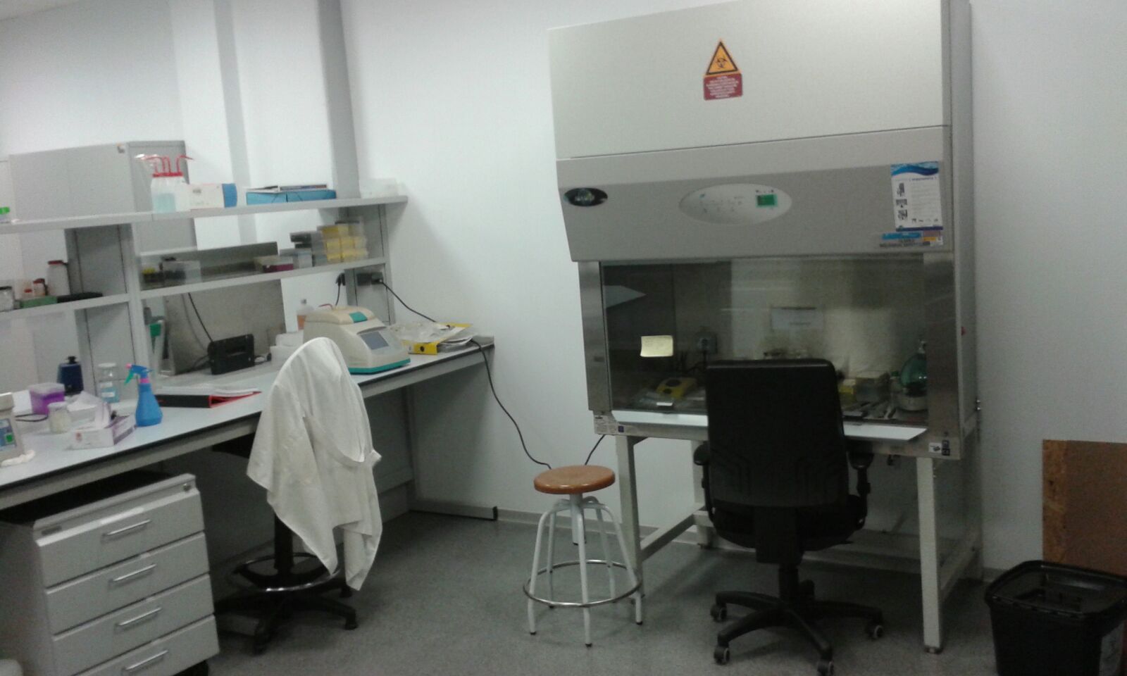 laboratorio vitalis 2