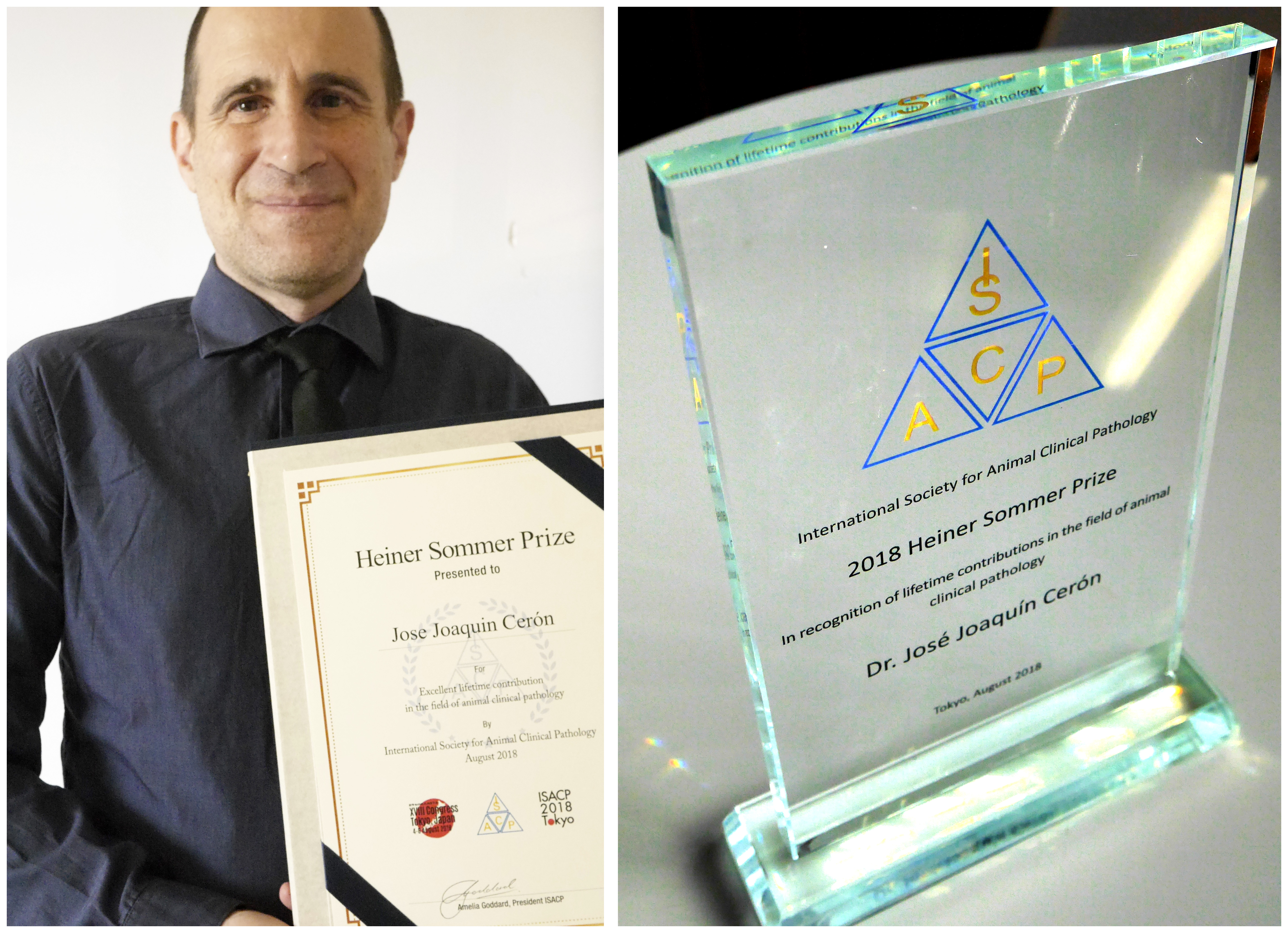 José Joaquín Cerón, profesor de la UMU, recoge el Premio “Heiner Sommer” en Tokio