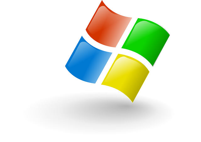 Logo Windows11