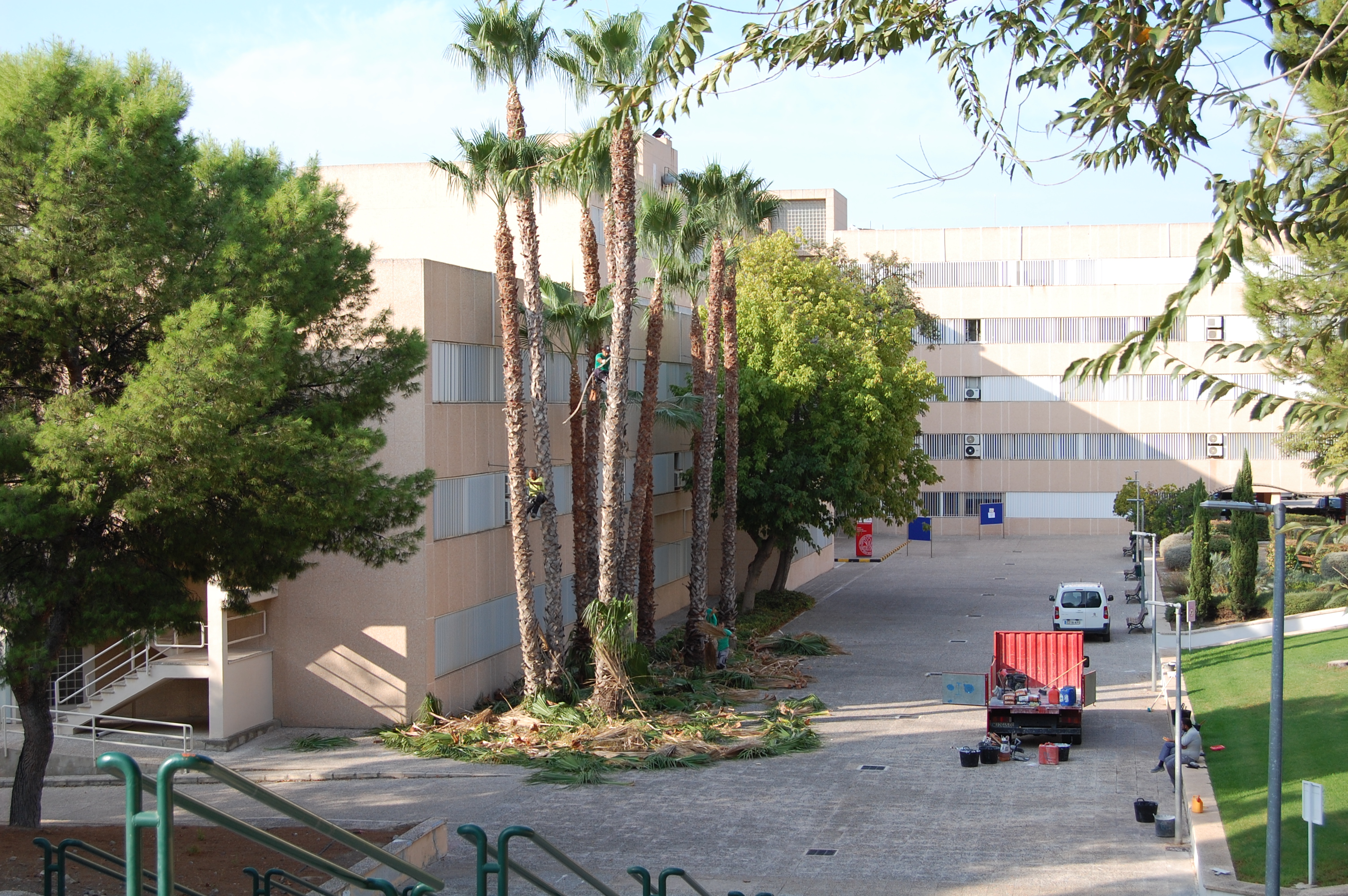Labores de jardinería en el Campus de Espinardo de la Universidad de Murcia. 