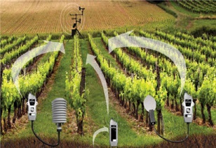 Redes de sensores electrónicos en entornos agrícolas e industriales