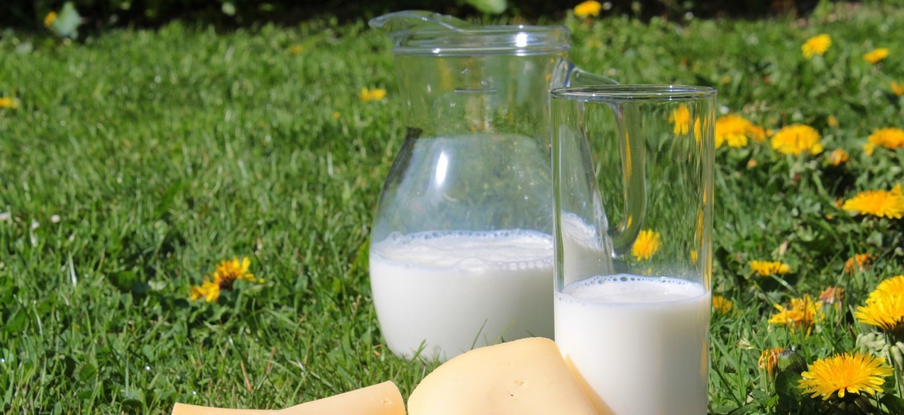 Proyecto internacional relacionado con productos lácteos