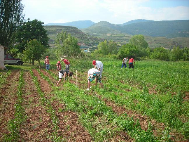 El desarrollo rural como fuente de bienestar social