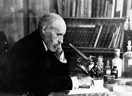 La Universidad de Murcia y el Museo de la Ciencia organizan conferencias sobre Ramón y Cajal