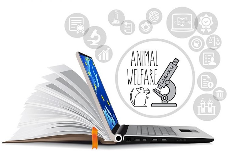 Últimos días inscribirte en el curso e-Learning, gratuito e impartido en inglés, relativo a la formación en experimentación animal en el ámbito europeo del progryecto Erasmus+ HERMES: la solicitud cierra el 7 de octubre