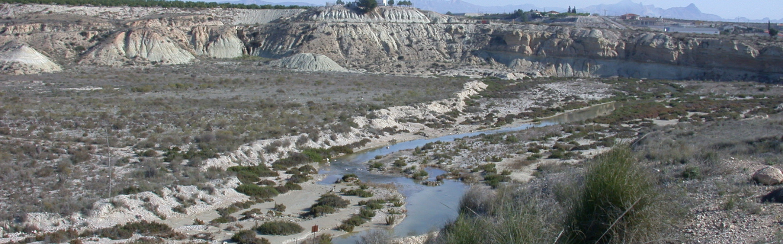 Expertos de la Universidad de Murcia advierten sobre la salinización de los ríos
