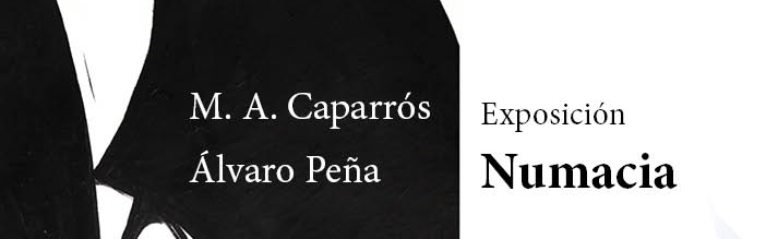 La Universidad de Murcia acoge una exposición de Miguel Ángel Caparrós y Álvaro Peña