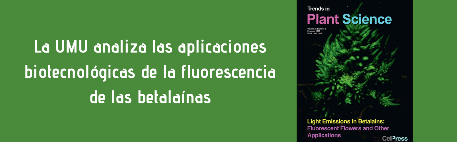 La Universidad de Murcia analiza las aplicaciones biotecnológicas de la fluorescencia en pigmentos vegetales