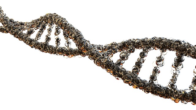 Caracterización genética de cultivos mediante genotipado por secuenciación