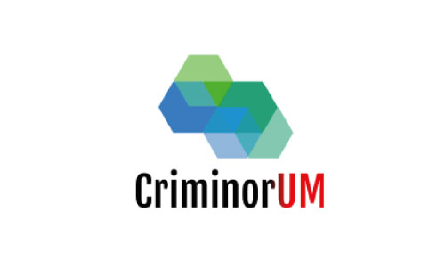 Asesoramiento jurídico y criminológico en delitos cibernéticos