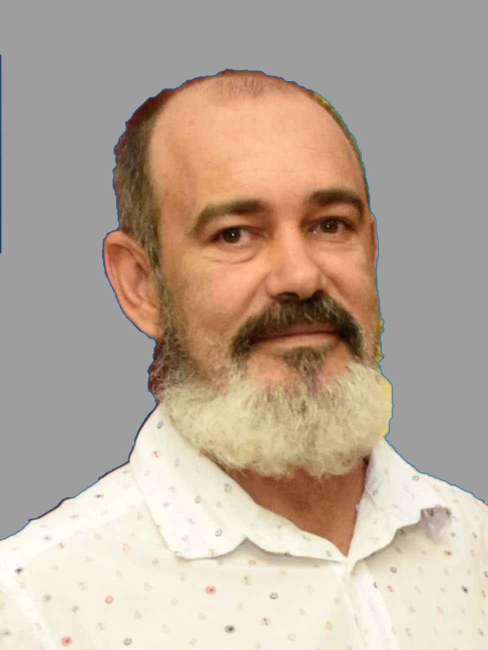 Prof. Dr. D. Alberto del Valle Robles