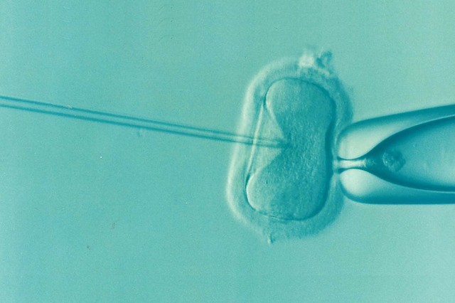 Biología y Tecnología de la Salud Reproductiva