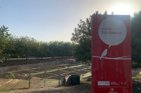 Huertos ecológicos de la Universidad de Murcia. Campus Sostenible y Saludable 2023.