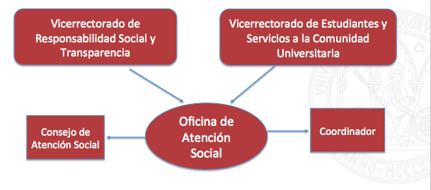 Estructura de la Oficina Social UMU