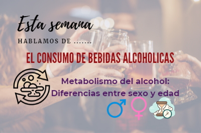 consumo alcohol metabolismo