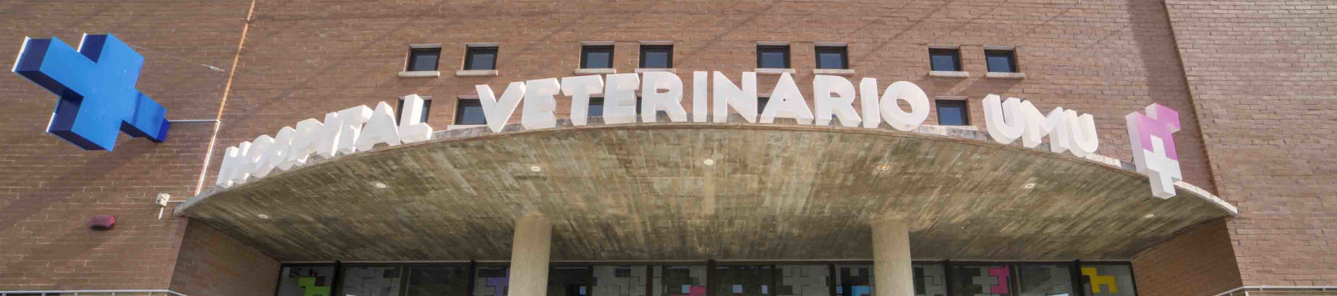 Hospital Veterinario 24 horas abierto los 365 dias, situado en el Campus de Espinardo
