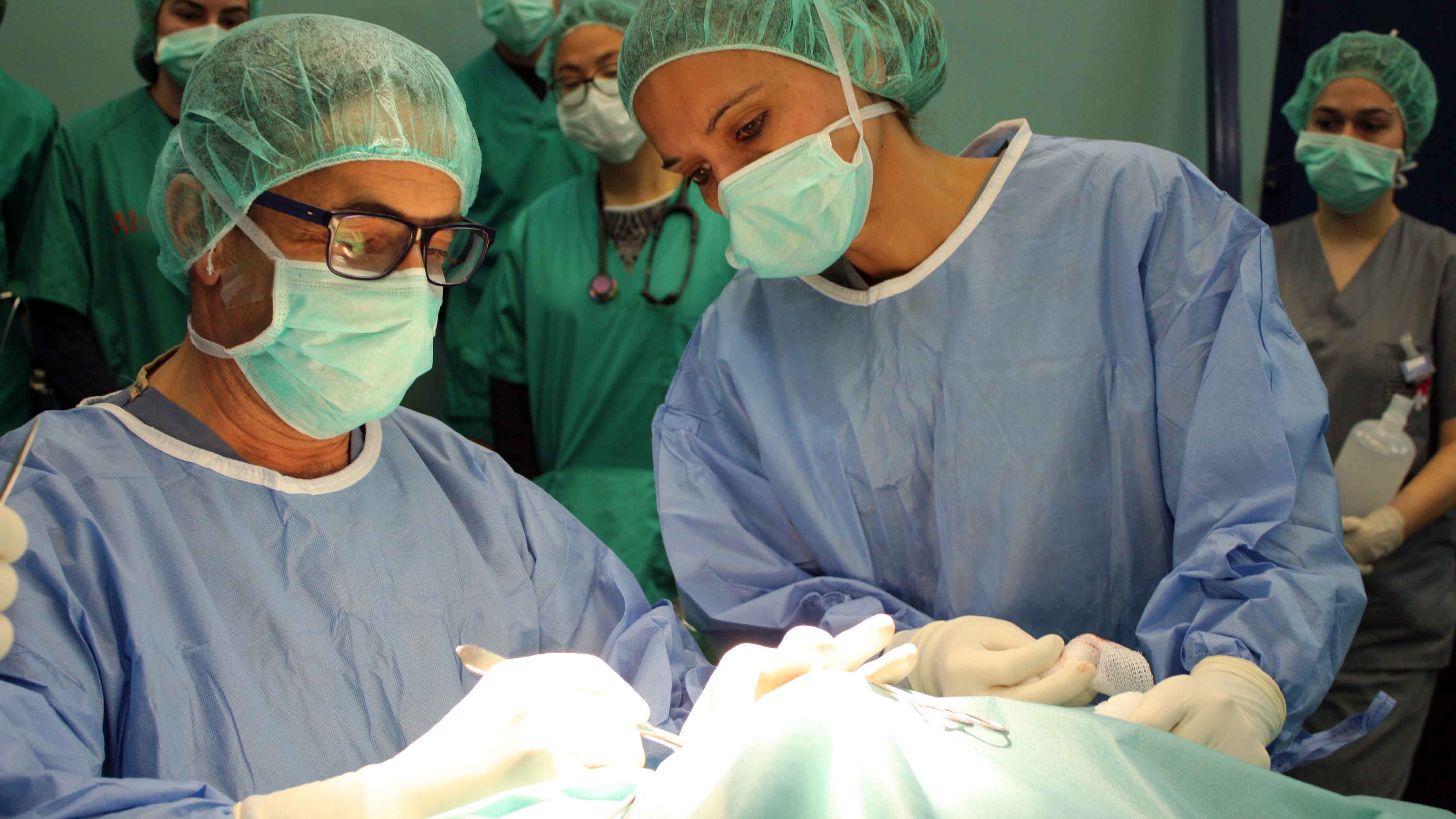 Cirugía realizada a un caballo en el Hospital Veterinario Universidad de Murcia