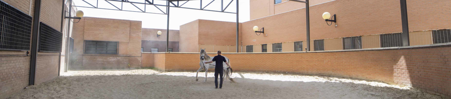 Hospital de Caballos situado en el Campus de Espinardo de Murcia 