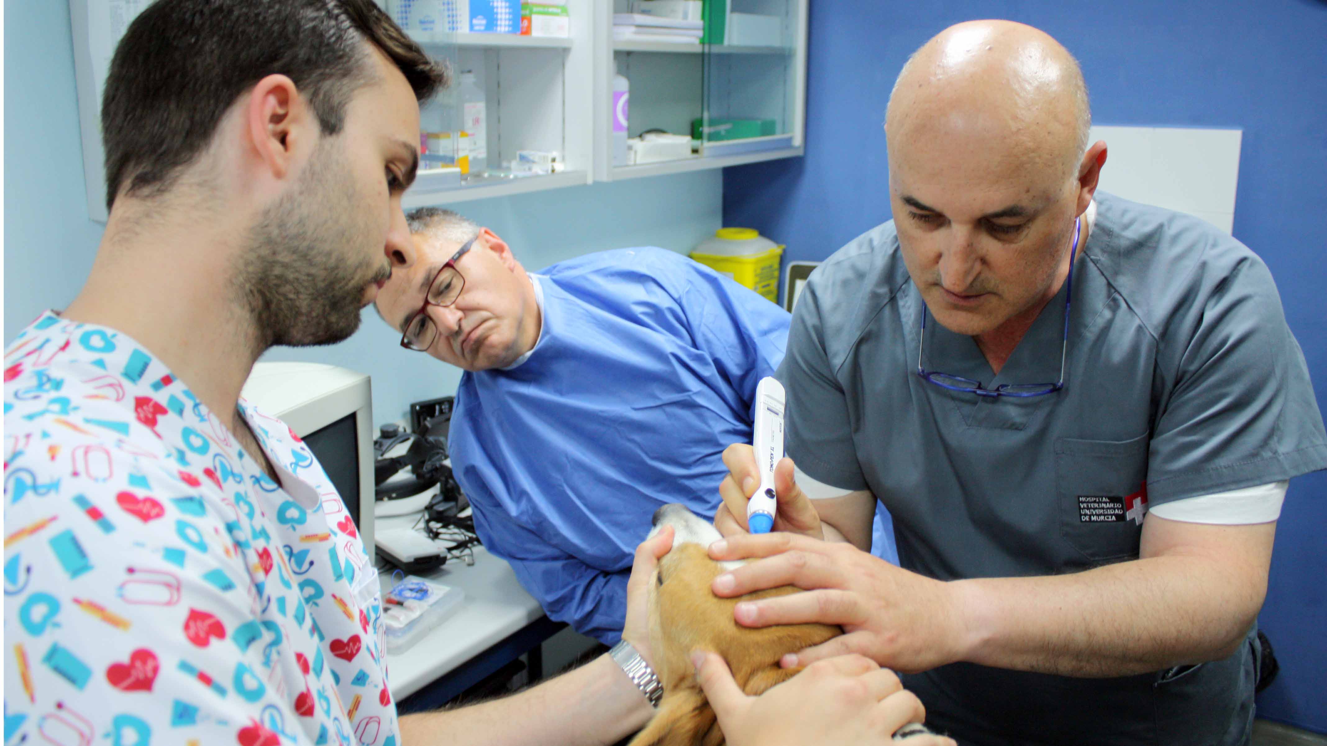 El oftalmólogo veterinario Alejandro Bayón, en su consulta en el Hospital Veterinario UMU