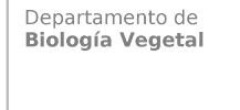 Logo Modelo Departamento Nuevo