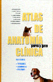 Atlas de Anatomía Clínica del Perro y el Gato: cavidades torácica, abdominal y pelvinana