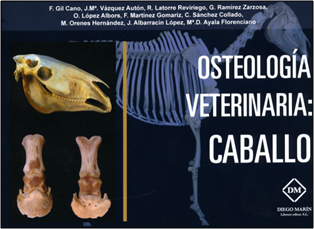 Osteología veterinaria: Caballo