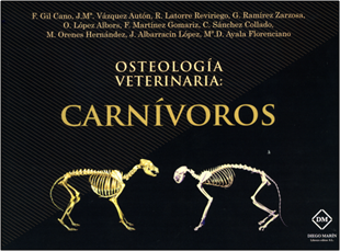 Osteología veterinaria: Carnívoros