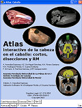 Atlas interactivo de la cabeza del caballo