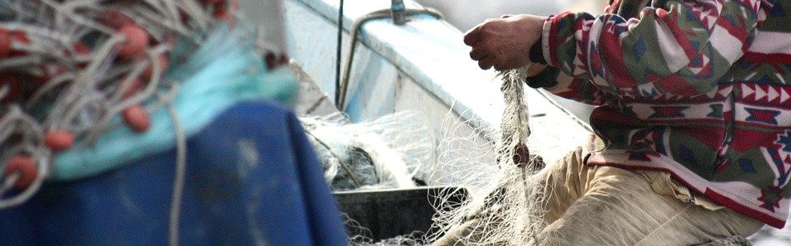 Nota de prensa - El turismo marinero, una posible solución al declive del sector pesquero según la UMU