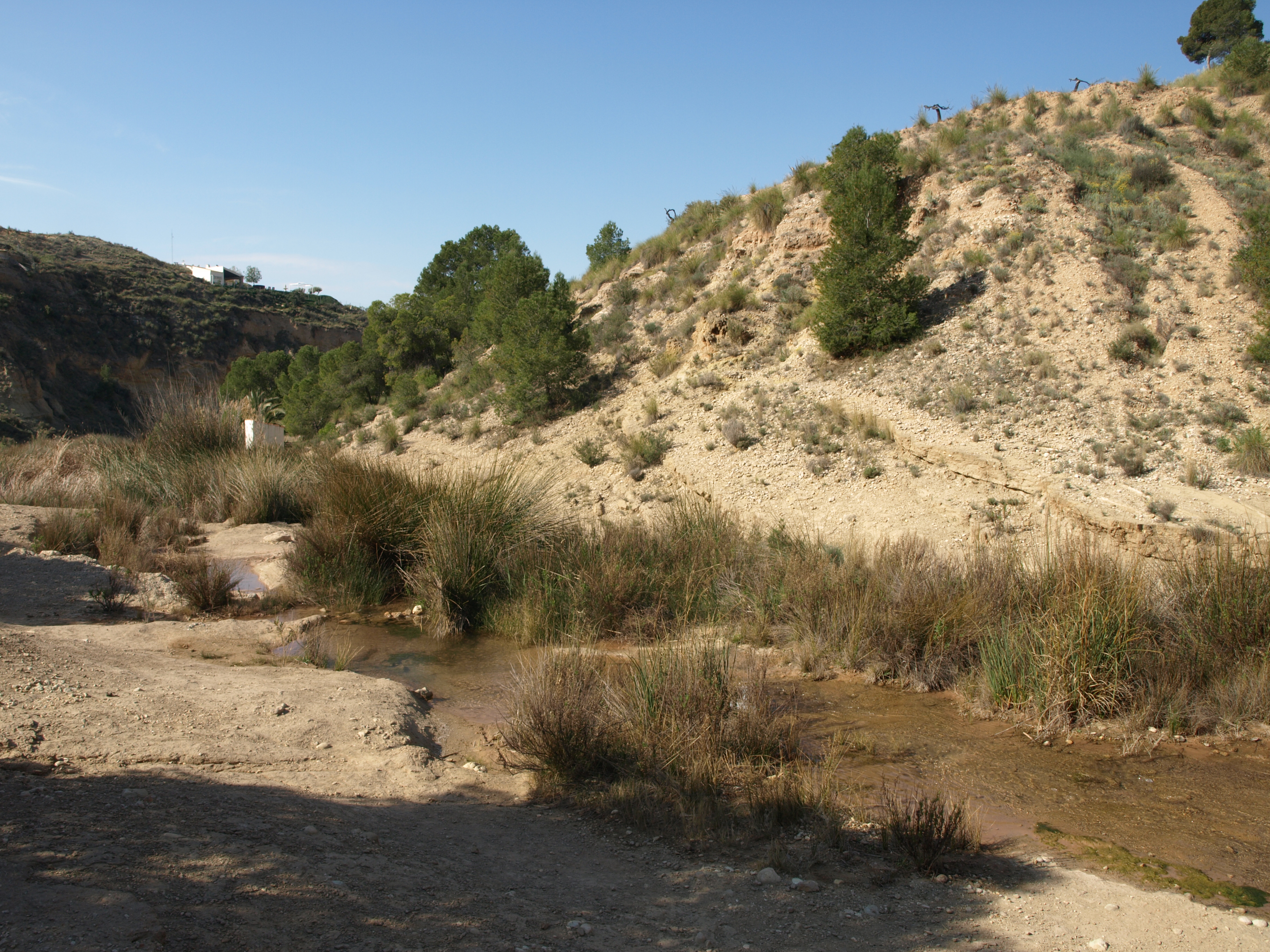 el-rio-chicamo-un-pequeno-afluente-arido-que-esconde-una-gran-biodiversidad
