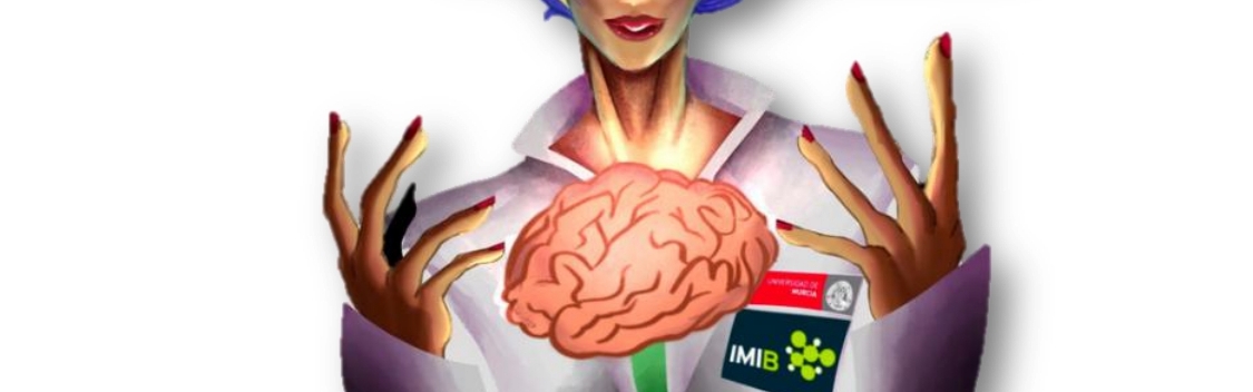 ‘Sinapto, luego existo’, una jornada de la UMU y el IMIB para profundizar en la neurociencia y celebrar el Día de la Mujer y la Niña en la Ciencia