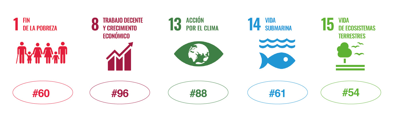 ‘THE Impact Rankings’ sitúa a la UMU líder nacional en su impulso de los ODS