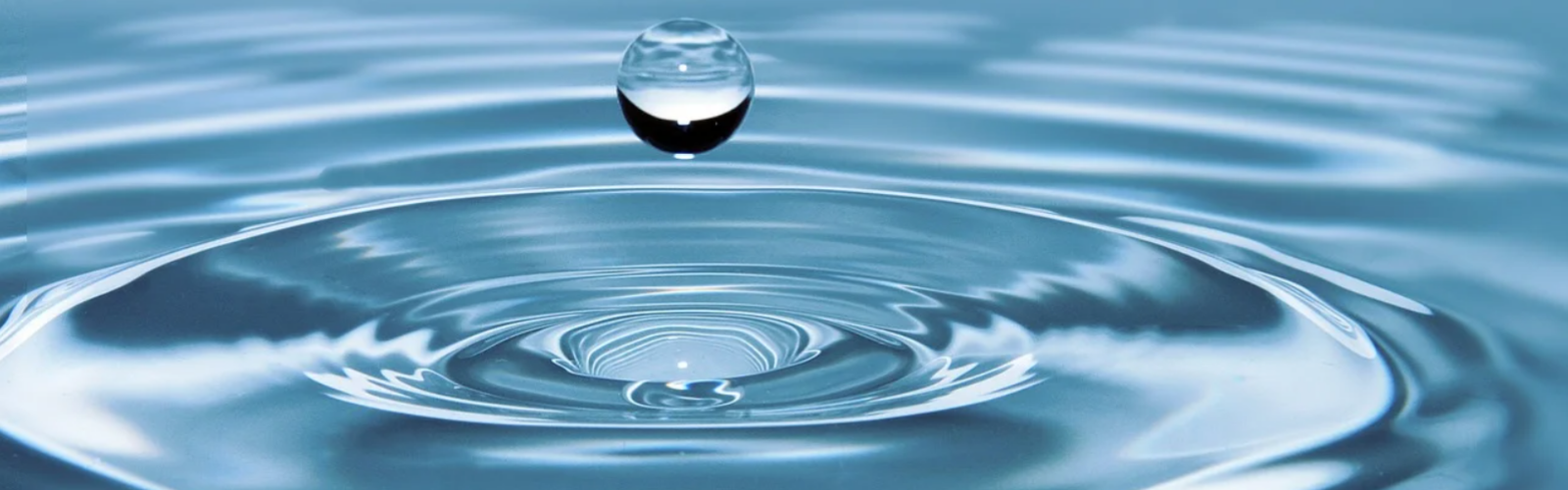El I Foro de Gestión Ecoeficiente del Agua se celebra en la UMU