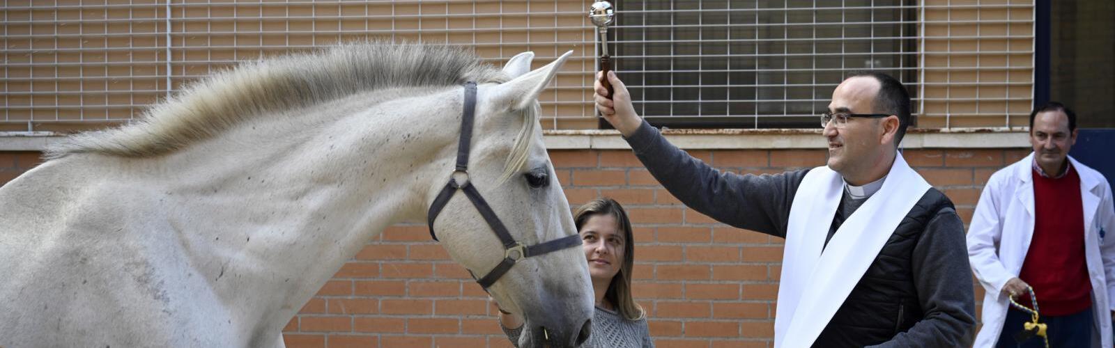 Acto de bendición de los animales por San Antón en el Hospital Veterinario de la Universidad de Murcia