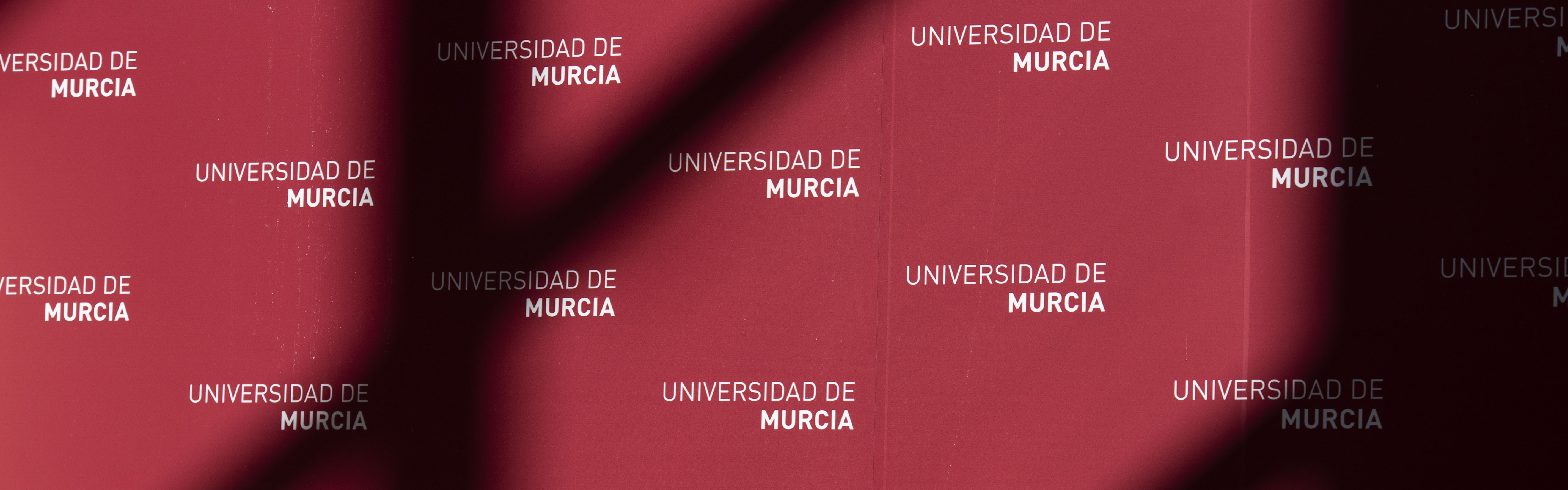 Nota de prensa - Lidia García, autora de ‘Ay, campaneras’, y el grupo de voluntarios del programa ‘UMU Acompaña’ reciben los premios Estudiante del Año 2021