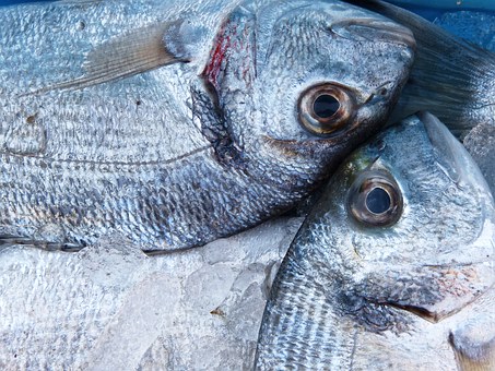 Aplicación del levamisol en la fabricación de productos dietéticos inmunoestimulantes para peces.